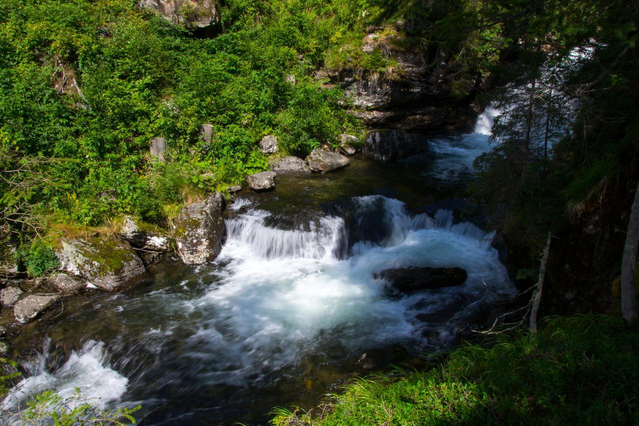 Sissi Park Haus Im Ennstal - Schladming Διαμέρισμα Εξωτερικό φωτογραφία